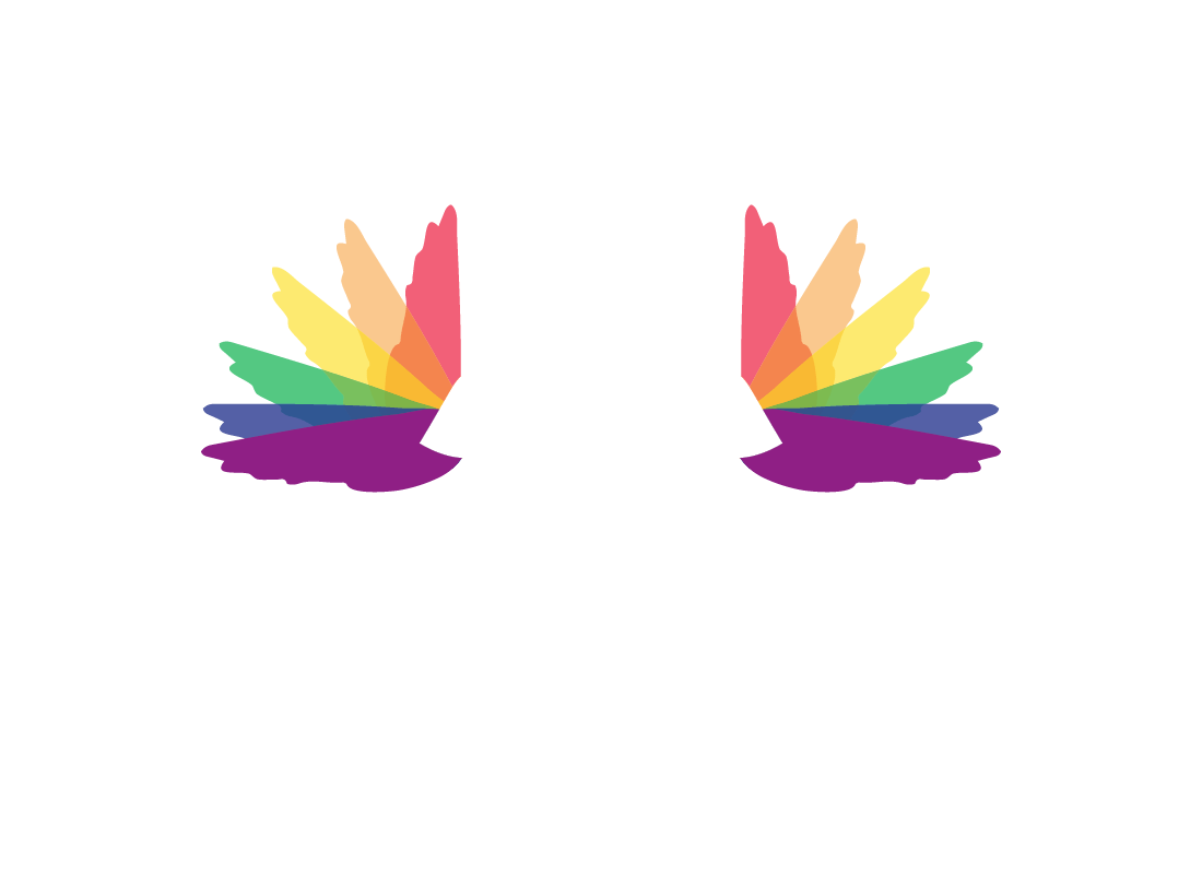 Birds Eye View Photography